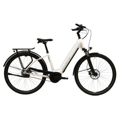 Atlanta Rückenwind IN 1.0 RT 28er Wave 625W