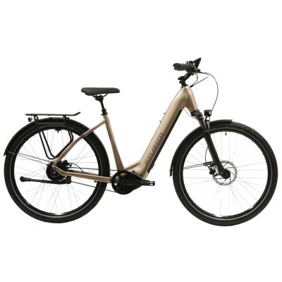 Atlanta Rückenwind IN 4.0 Wave 750W
